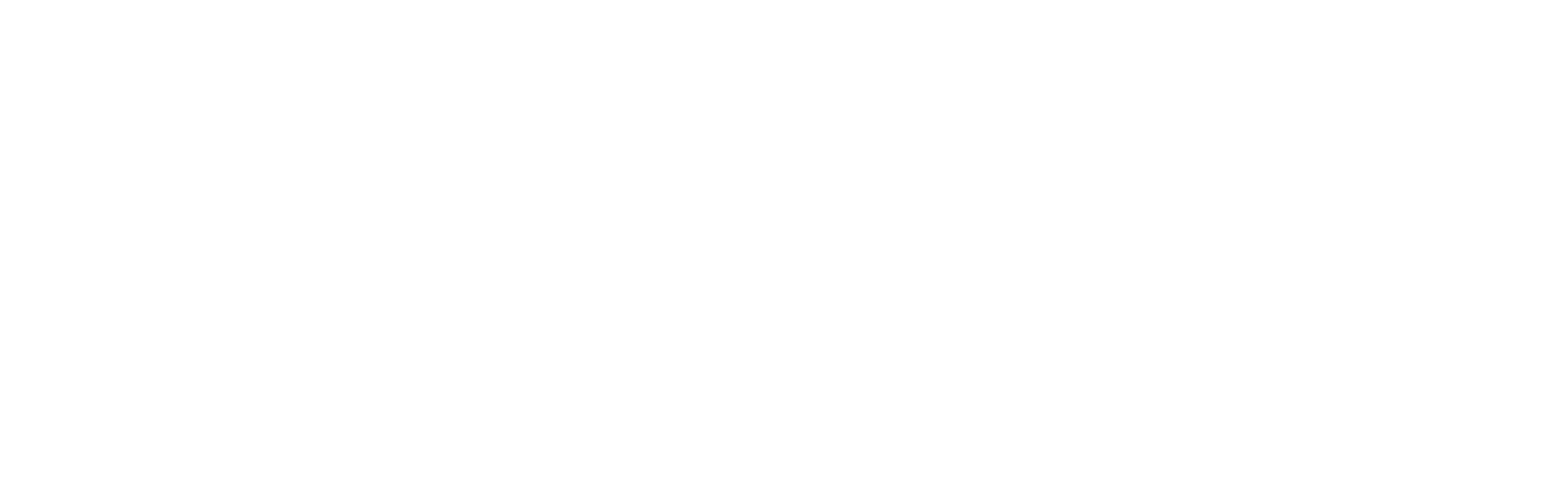 LOGO_blanco_BROMELIALIFESTYLE